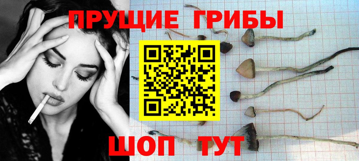 Галлюциногенные грибы мухоморы  Псилоцибиновые грибы Magic Shrooms  Шатура  Вход с VPN 